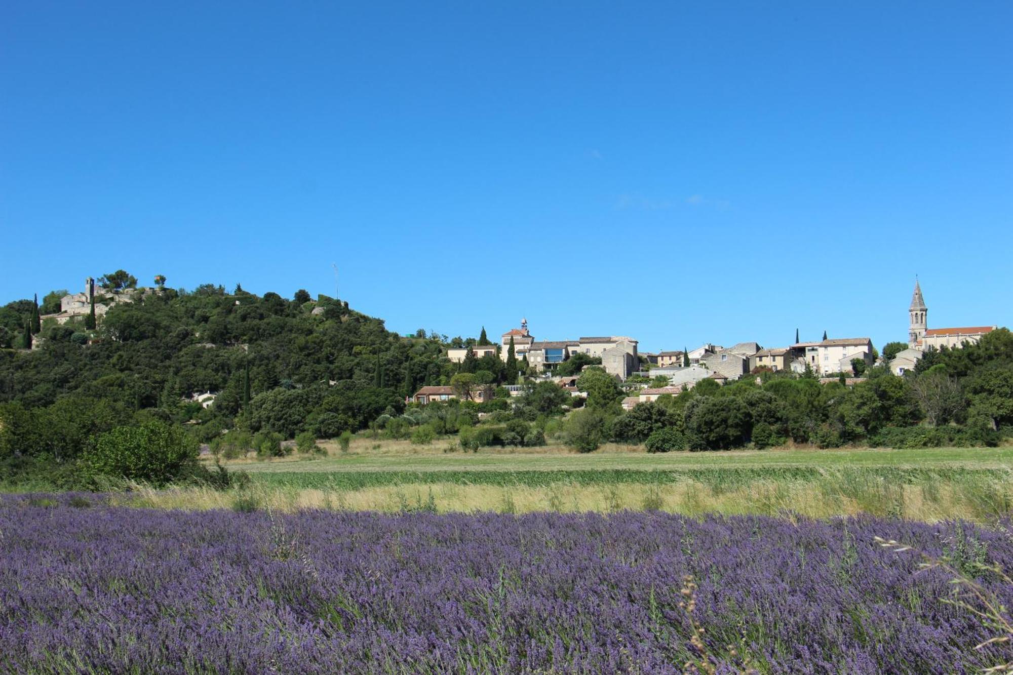 Le Pigeonnier, Gite Des Lucioles En Provence Montségur-sur-Lauzon Esterno foto